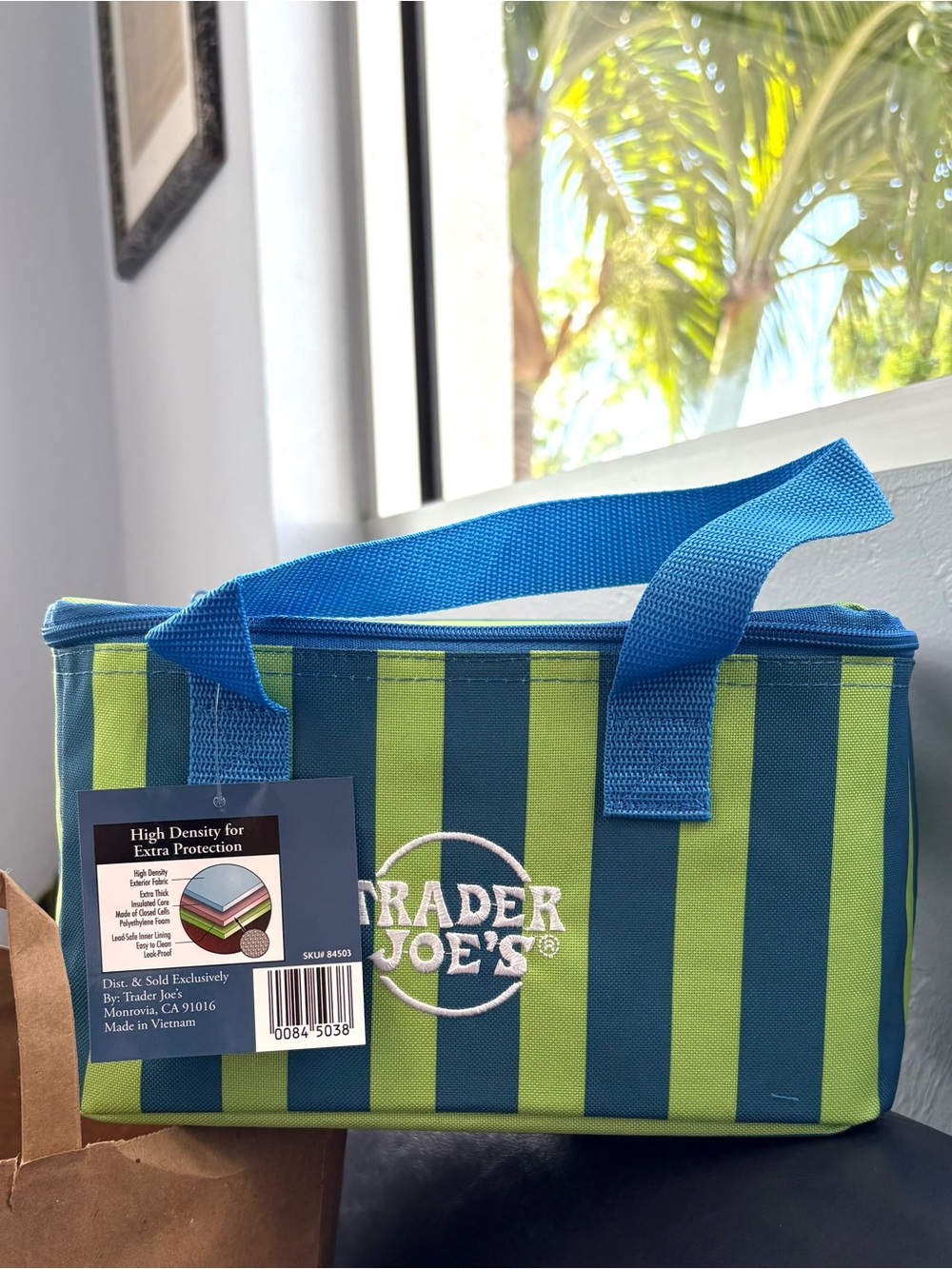 Trader Joe's Mini Insulated Tote